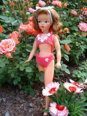 Tammy - 1960's
